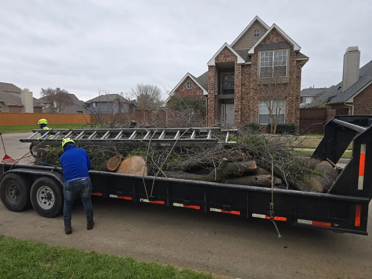 Expert Lot Clearing with proper safety equipment in Rexburg